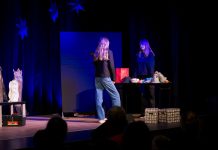 Spektakl teatralny DUBLER – galeria